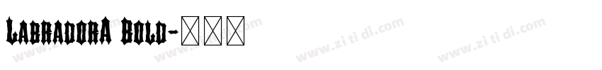 LabradorA Bold字体转换 LabradorA Bold字体转换